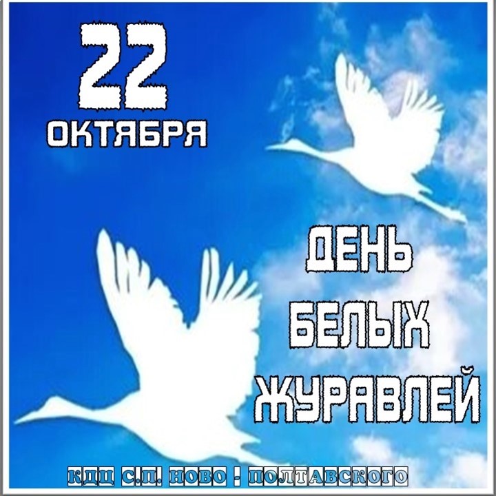 22.10.25