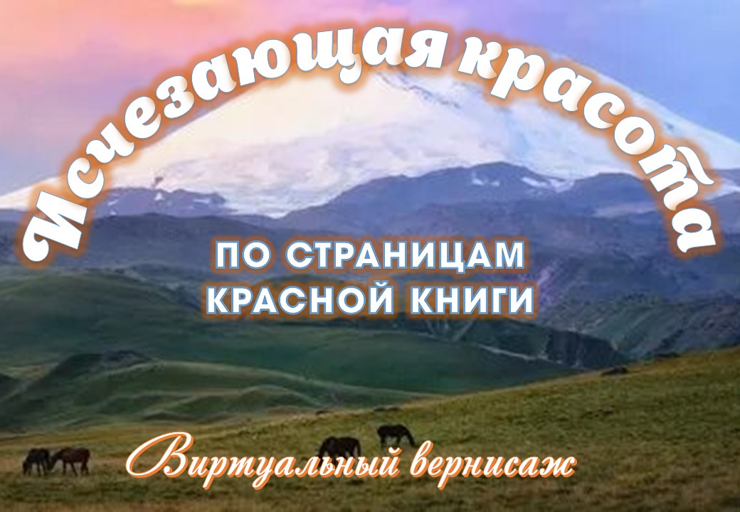Слайд1