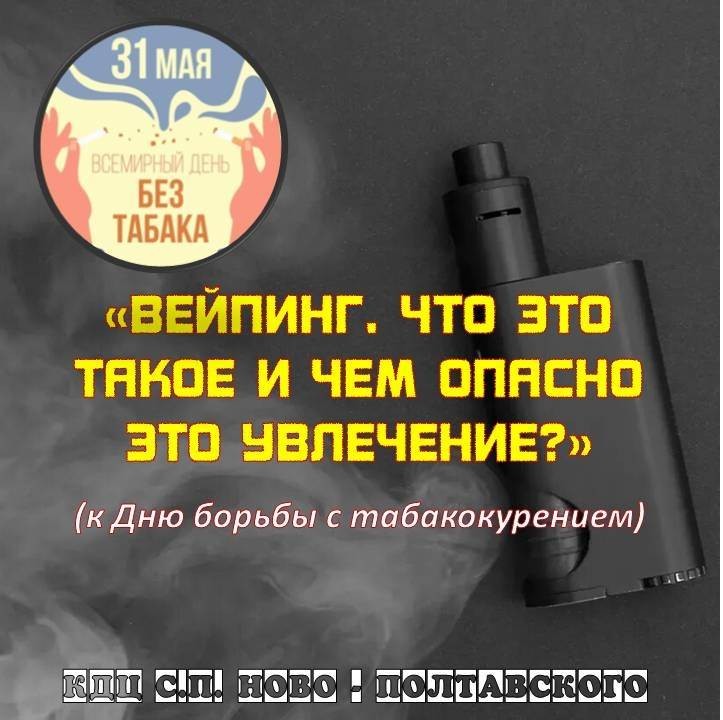 31.05.26